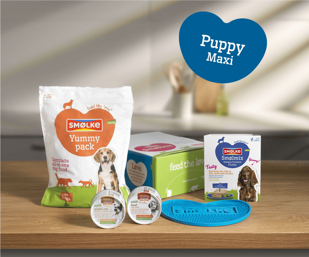 Puppy Maxi Smølbox proefpakket