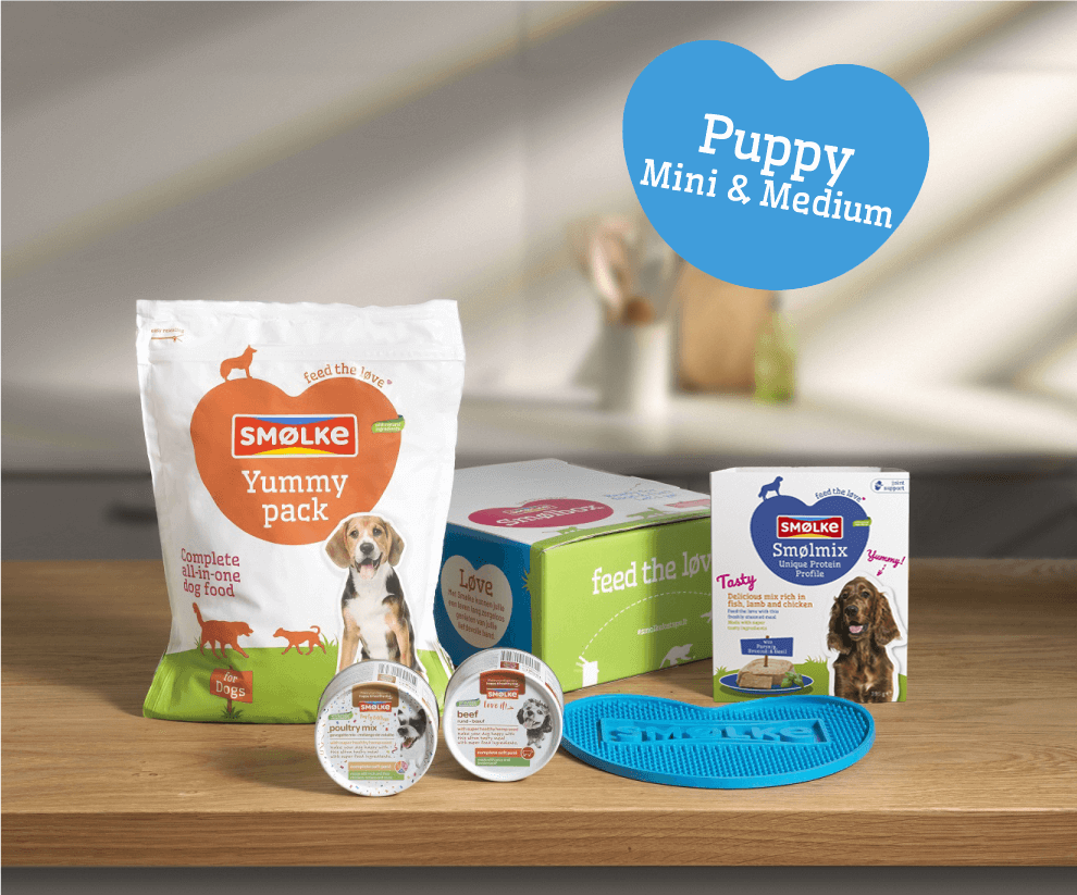 Smølbox Puppy Mini & Medium