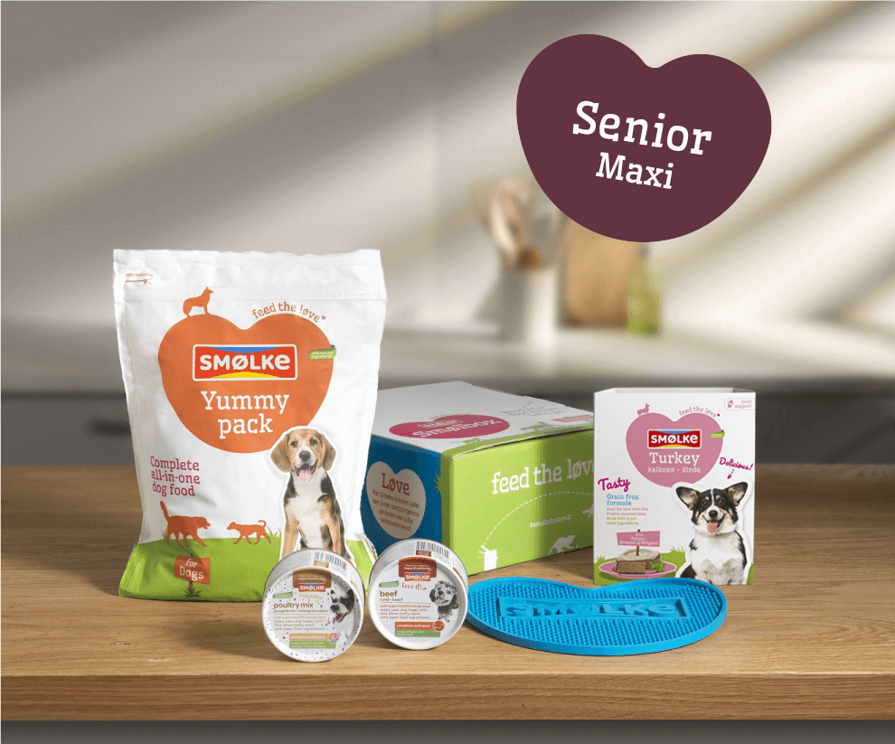 Smølbox Senior Maxi
